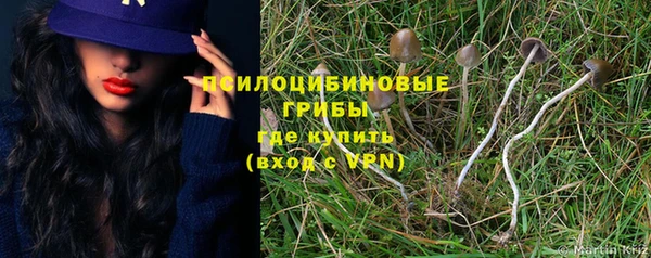 амф Медвежьегорск