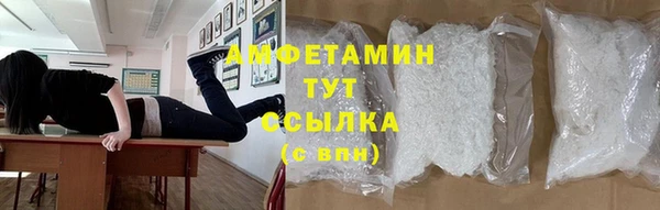 молекула духа Алексин