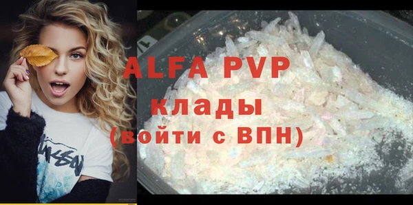 стафф Алзамай
