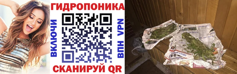 где купить   Трубчевск  Каннабис гибрид 